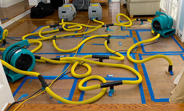 Professional Emergency Water Removal technician working in Bigfoot, TX