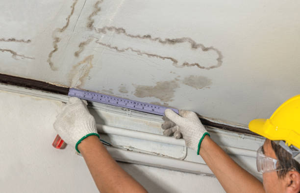 Affordable Water Damage Repair solutions in Bigfoot, TX